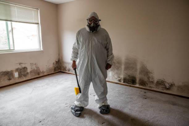 Best Crawl Space Mold Removal  in Dayton, OR